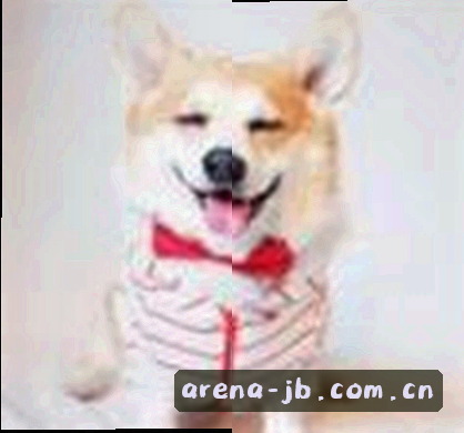吴磊